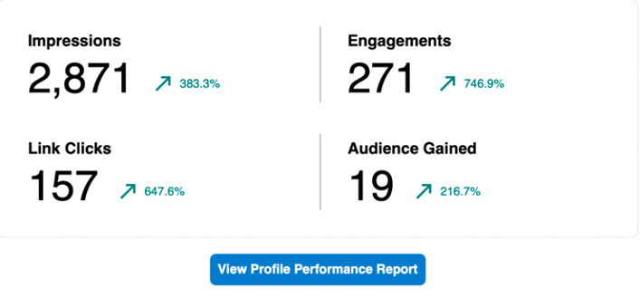 Google Analytics Profile Performance Report.